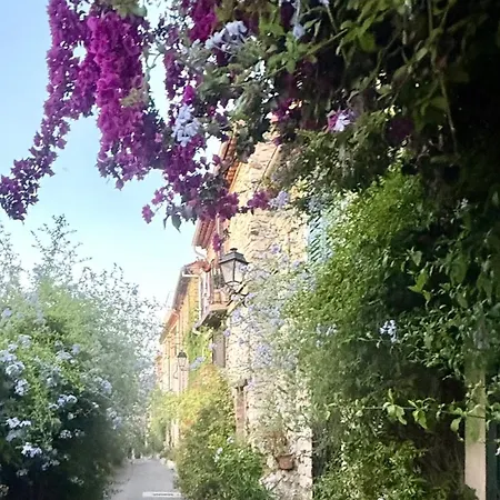 Boho Nest - Charming Boutique * Antibes